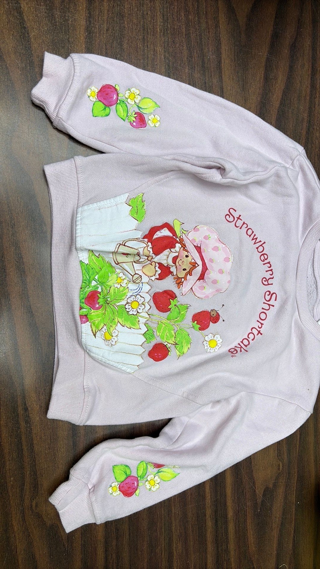 Girls Strawberry Shortcake 5T  Pink Long Sleeve Pullover Sweatshirt
