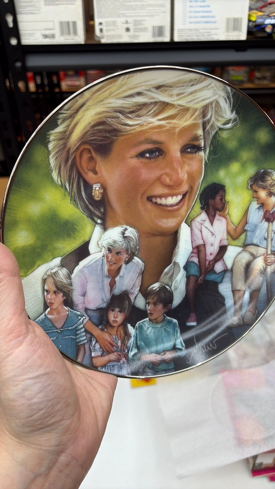 11C- Queen of Compassion Princess Diana Limited Edition Franklin Mint Plate
