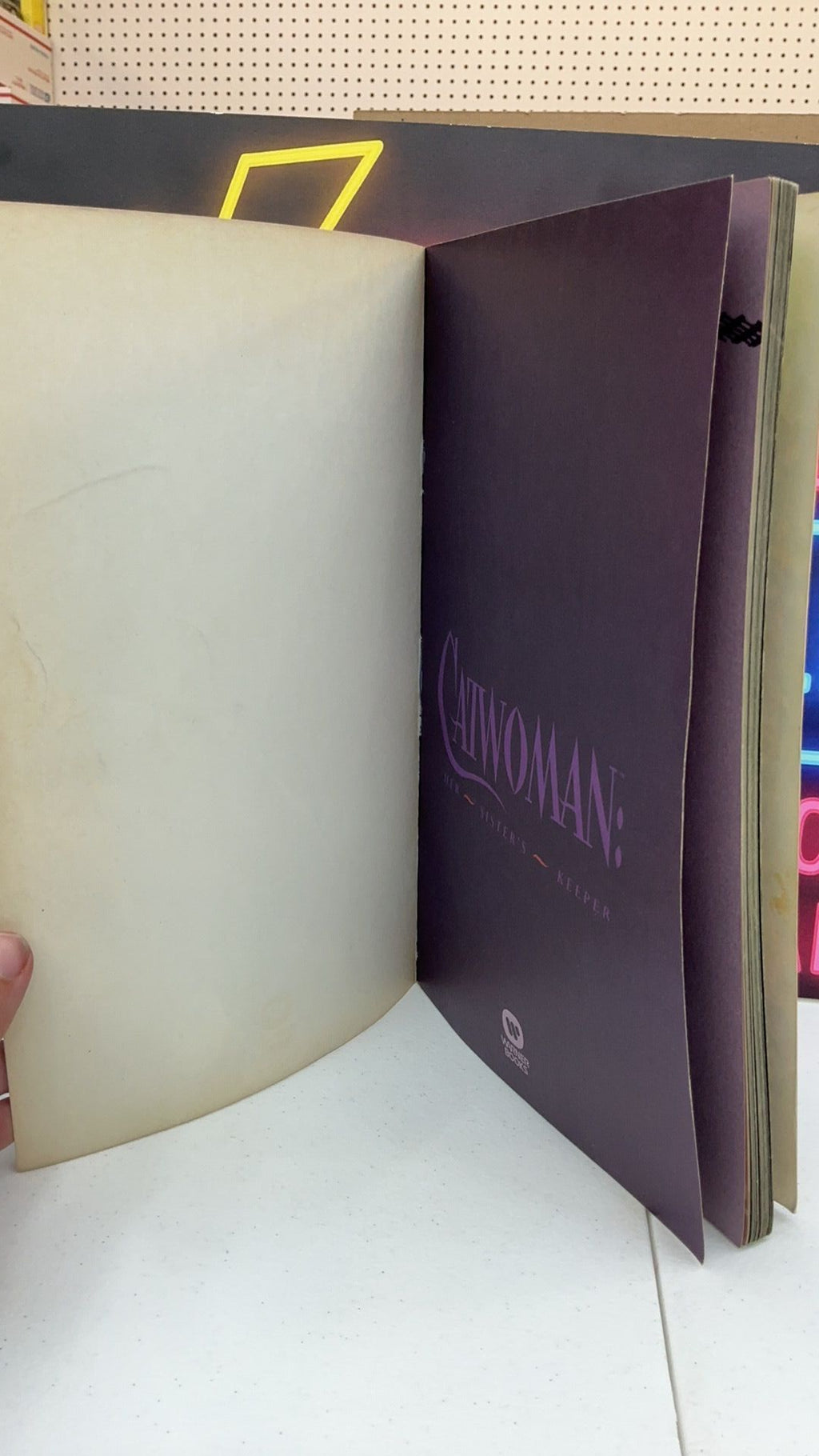 B2- Catwoman: Her Sister’s Keeper TPB 1992 DC Comics Mindy Newell Warner Books