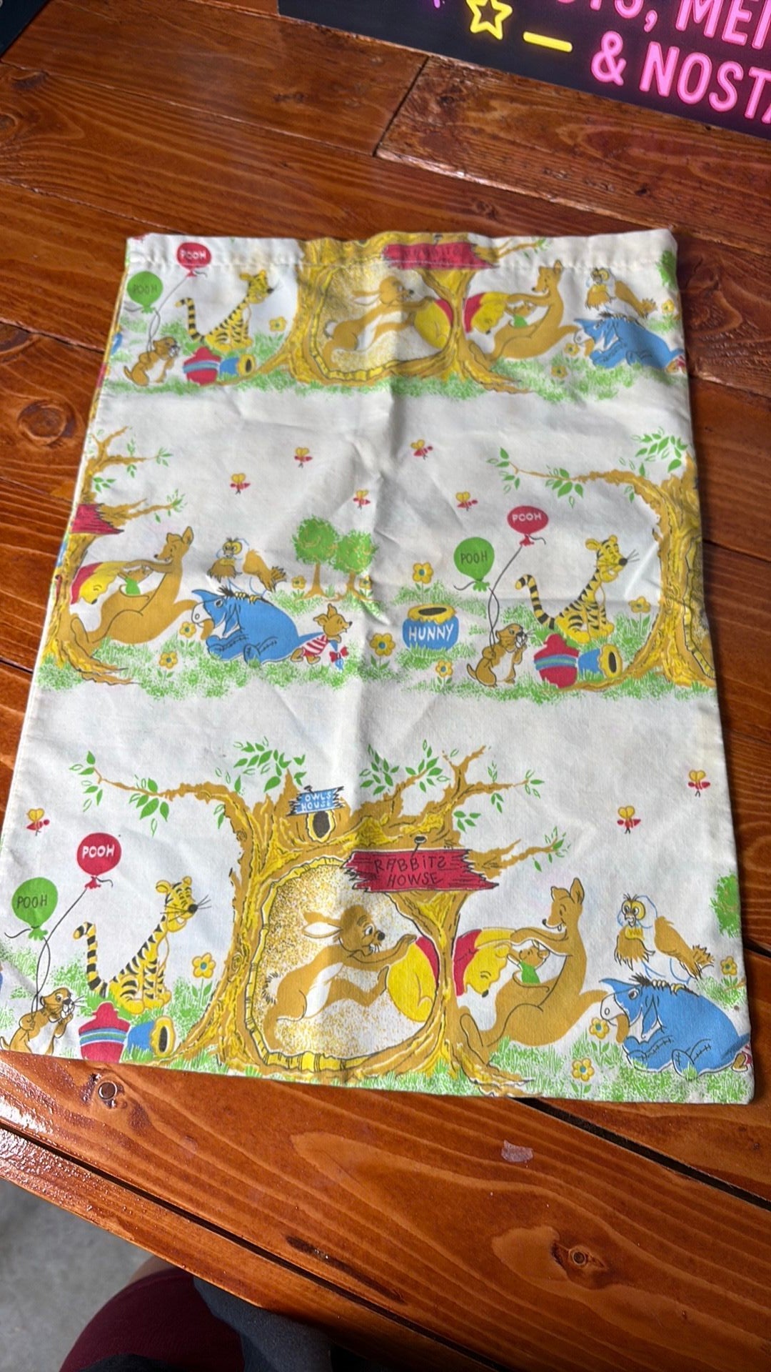 2C- Vintage Winnie The Pooh And Friends Small Pillowcases 18"×13"