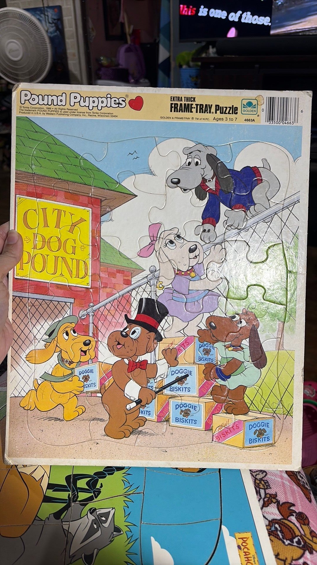 S1- Golden 1986 Pound Puppies Extra Thick Frame Tray Puzzle City Dog Pound