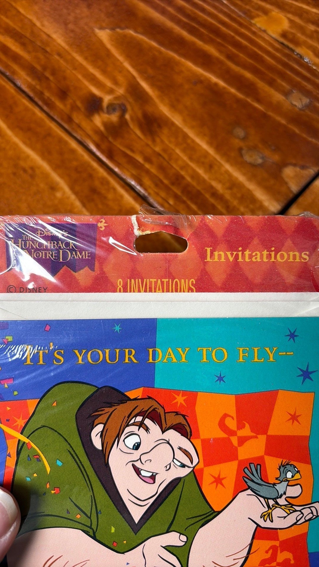 2B- Hunchback Of Notre Dame Invitations (8) Birthday Party Vintage Disney